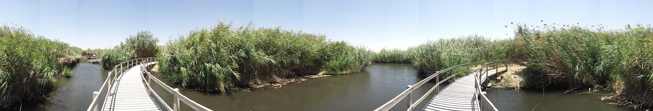 Azraq Wetland